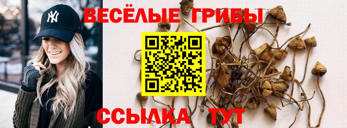 Корсаков  Псилоцибиновые грибы мухоморы  Вход с VPN 