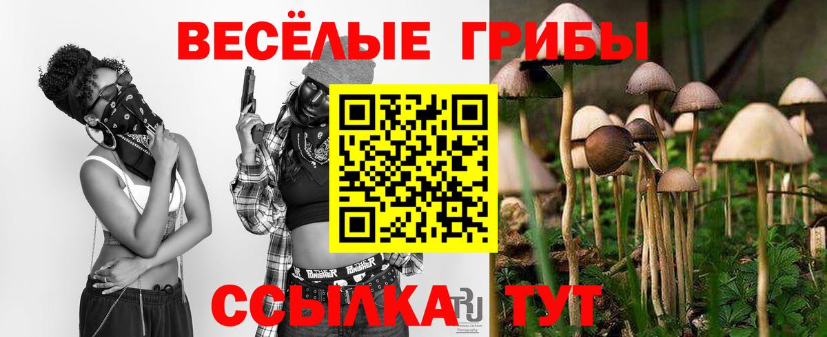 Псилоцибиновые грибы Cubensis Корсаков